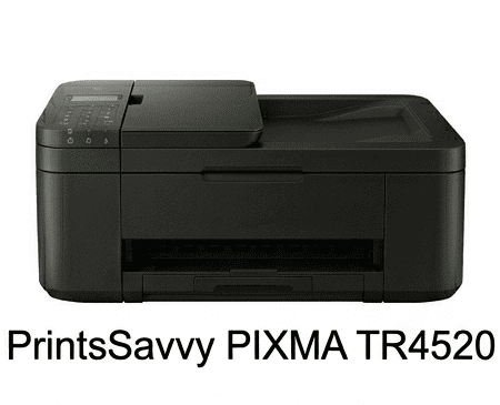 PrintsSavvy PIXMA TR4520